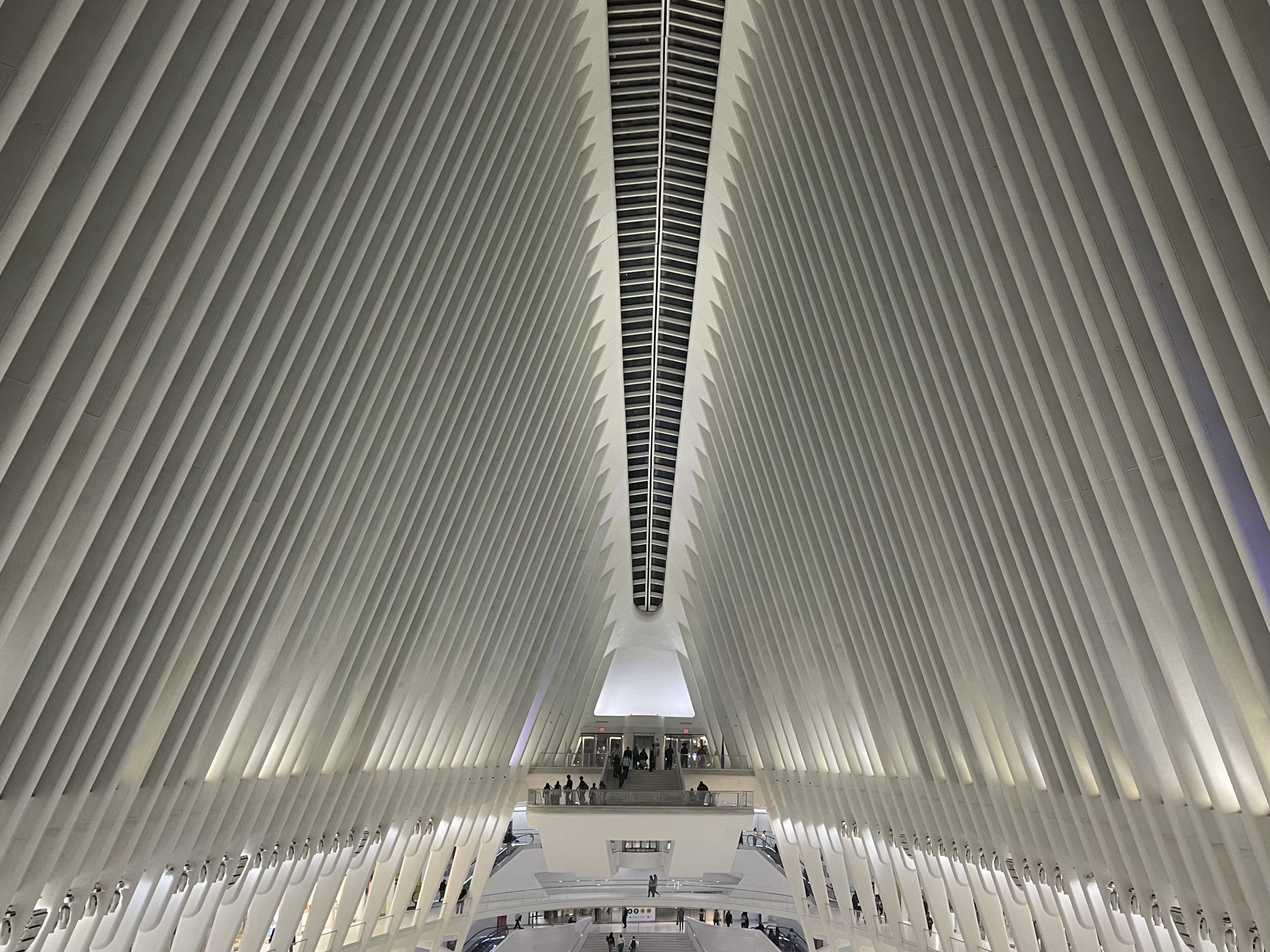 The Oculus: simbolo di rinascita al World Trade Center